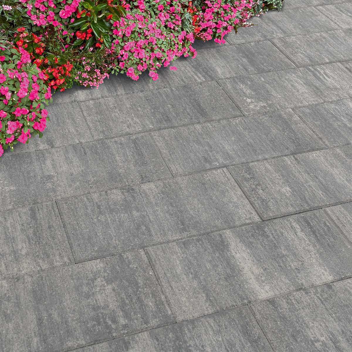 Diephaus  Terrassenplatte No. 1 Nature graphit 50 x 25 x 4 cm Bild 3