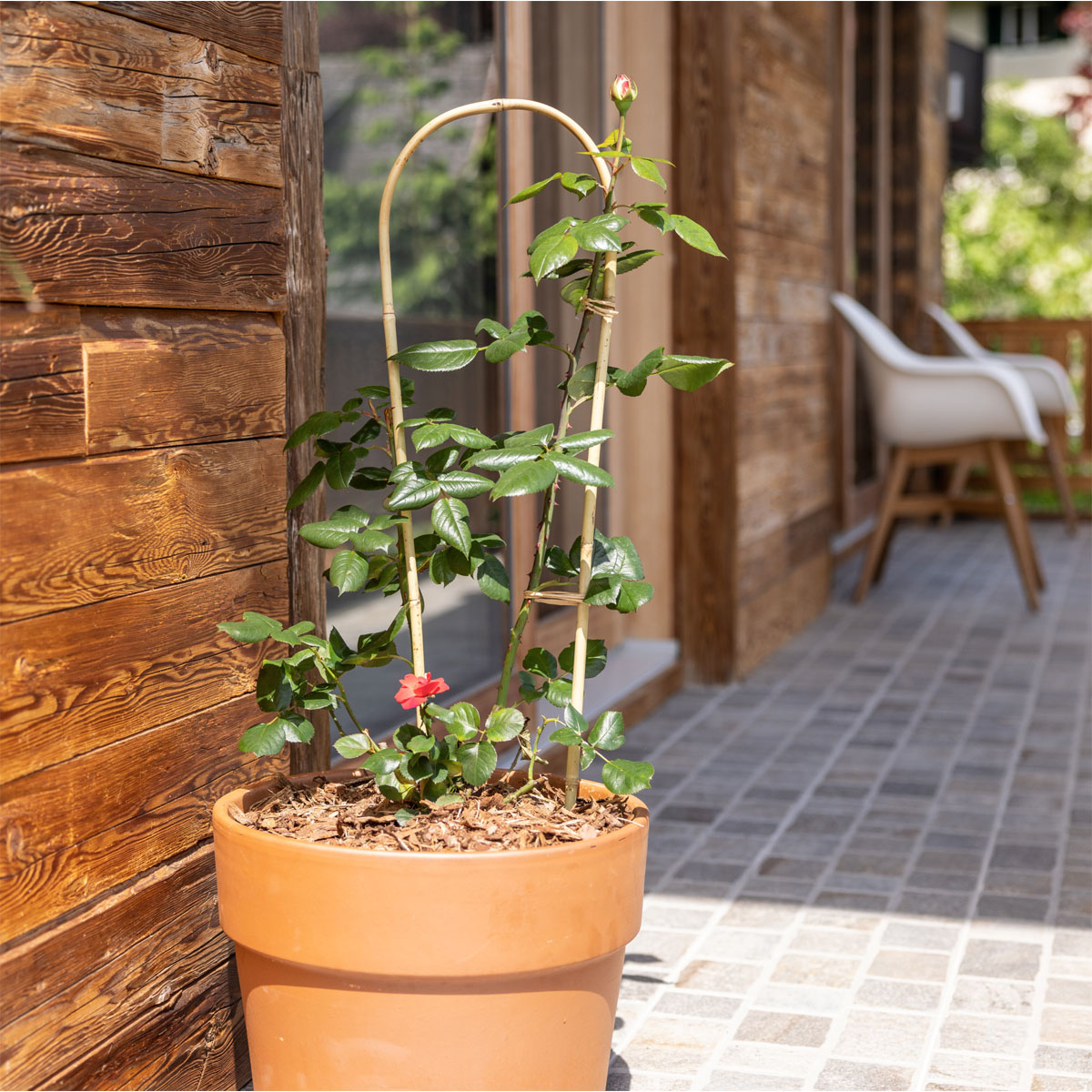 Windhager  Bambus-Rankbogen 60 cm