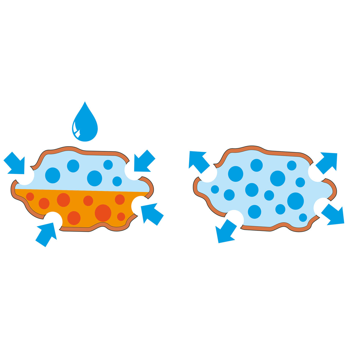 Seramis Pflanzgranulat für Zimmerpflanzen 2,5 L Bild 3