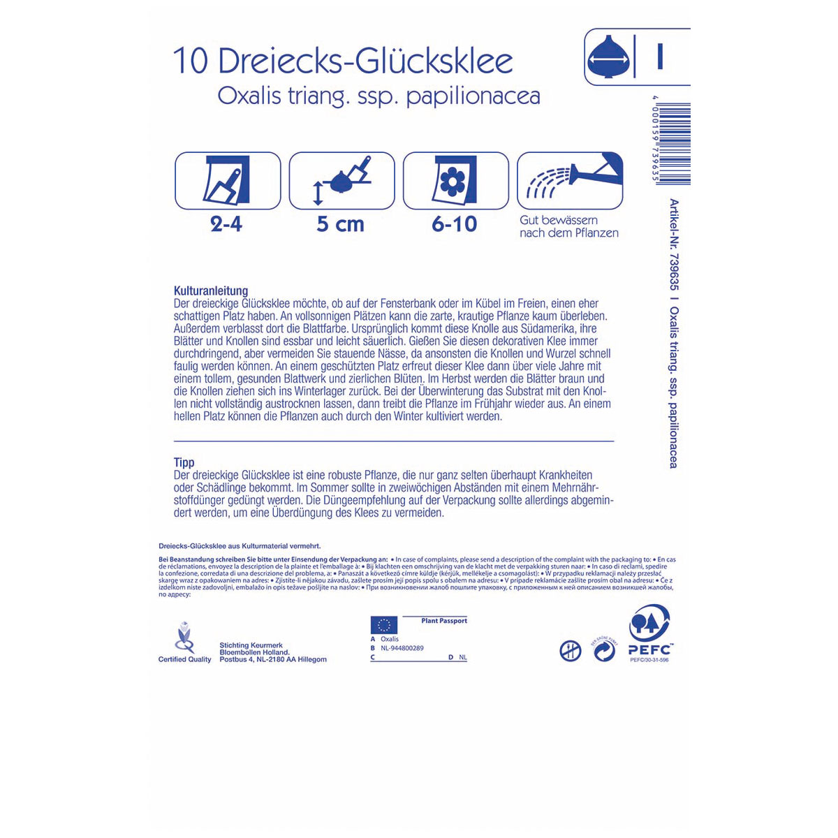 Kiepenkerl Dreiecks-Glücksklee Größe 1 10 Stück Bild 2