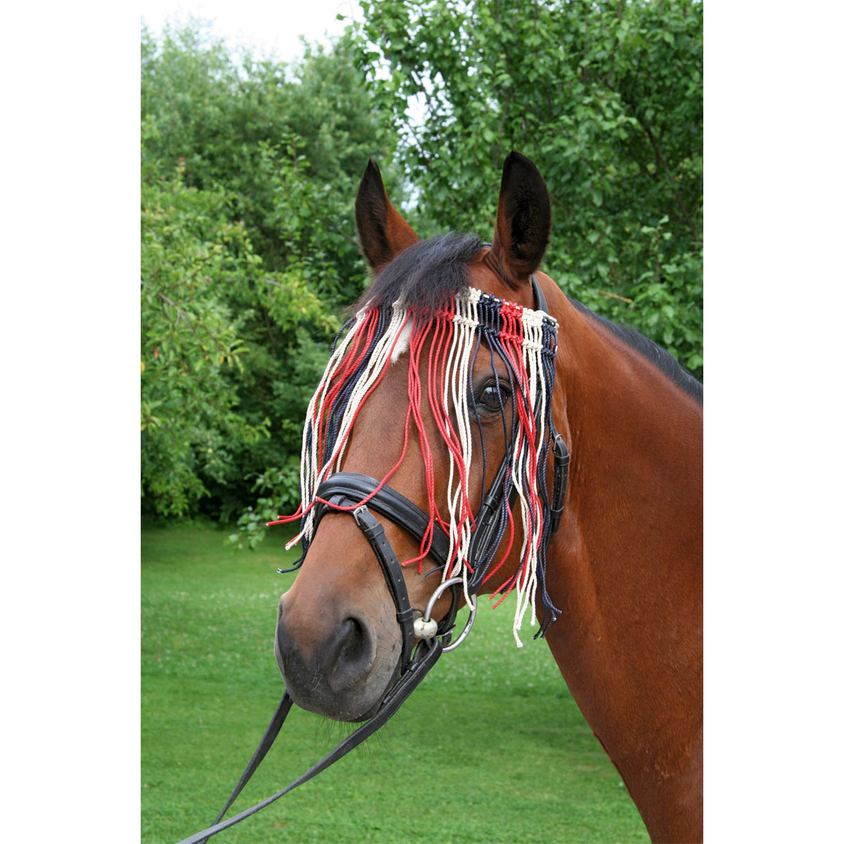 Fliegen-Fransenband Cob rot-blau-weiß Bild 5