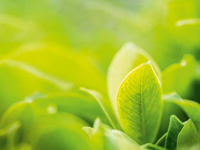 Testsieger-Umwelt Testsieger-Umwelt