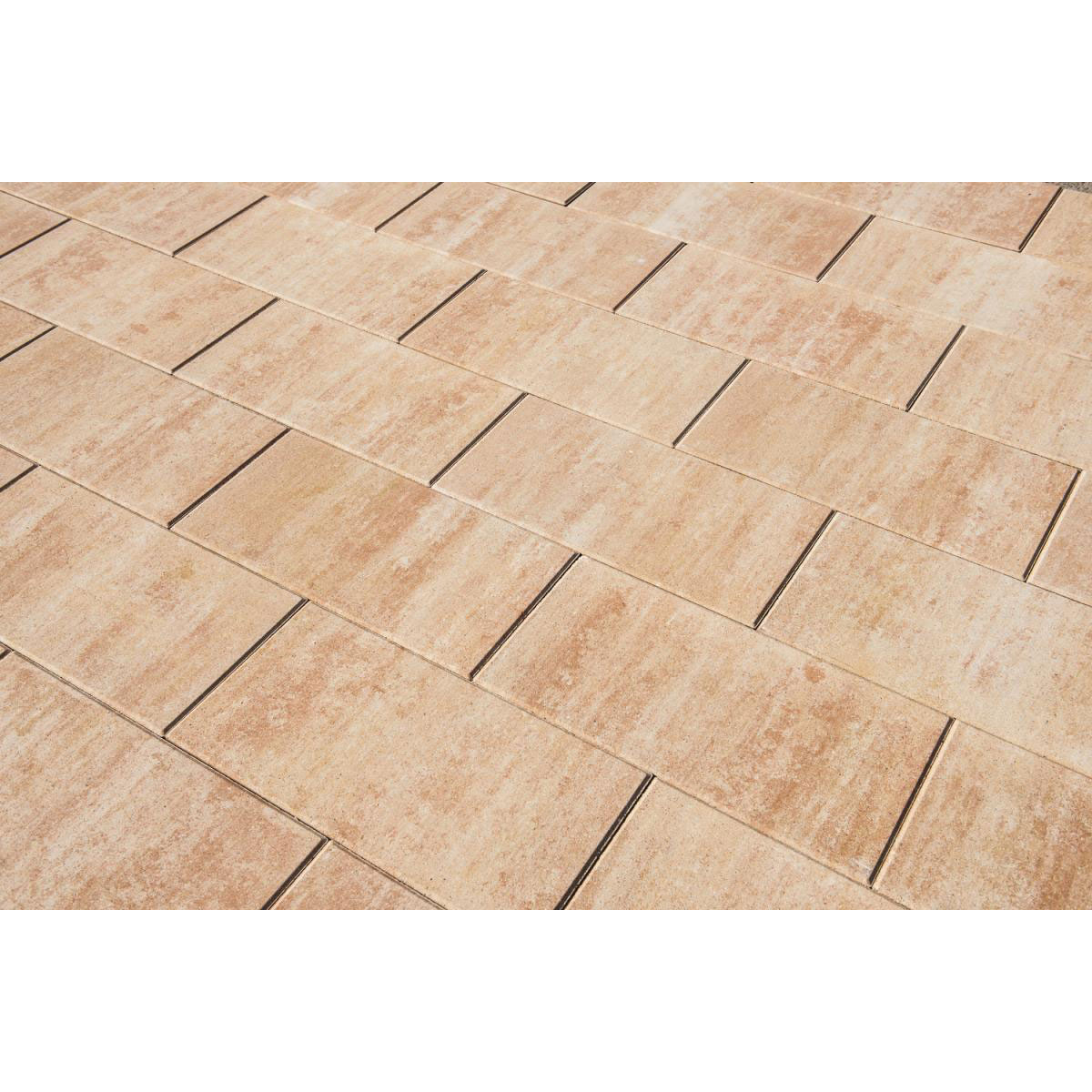 Diephaus  Terrassenplatte No 1 Nature 60 x 30 x 4 cm Sandstein Bild 3