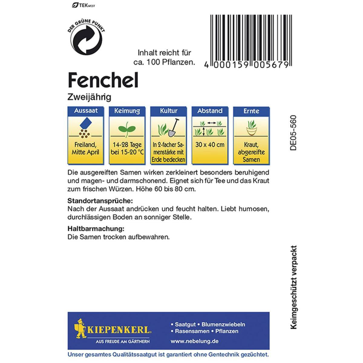 Kiepenkerl Fruchtfenchel Bild 2