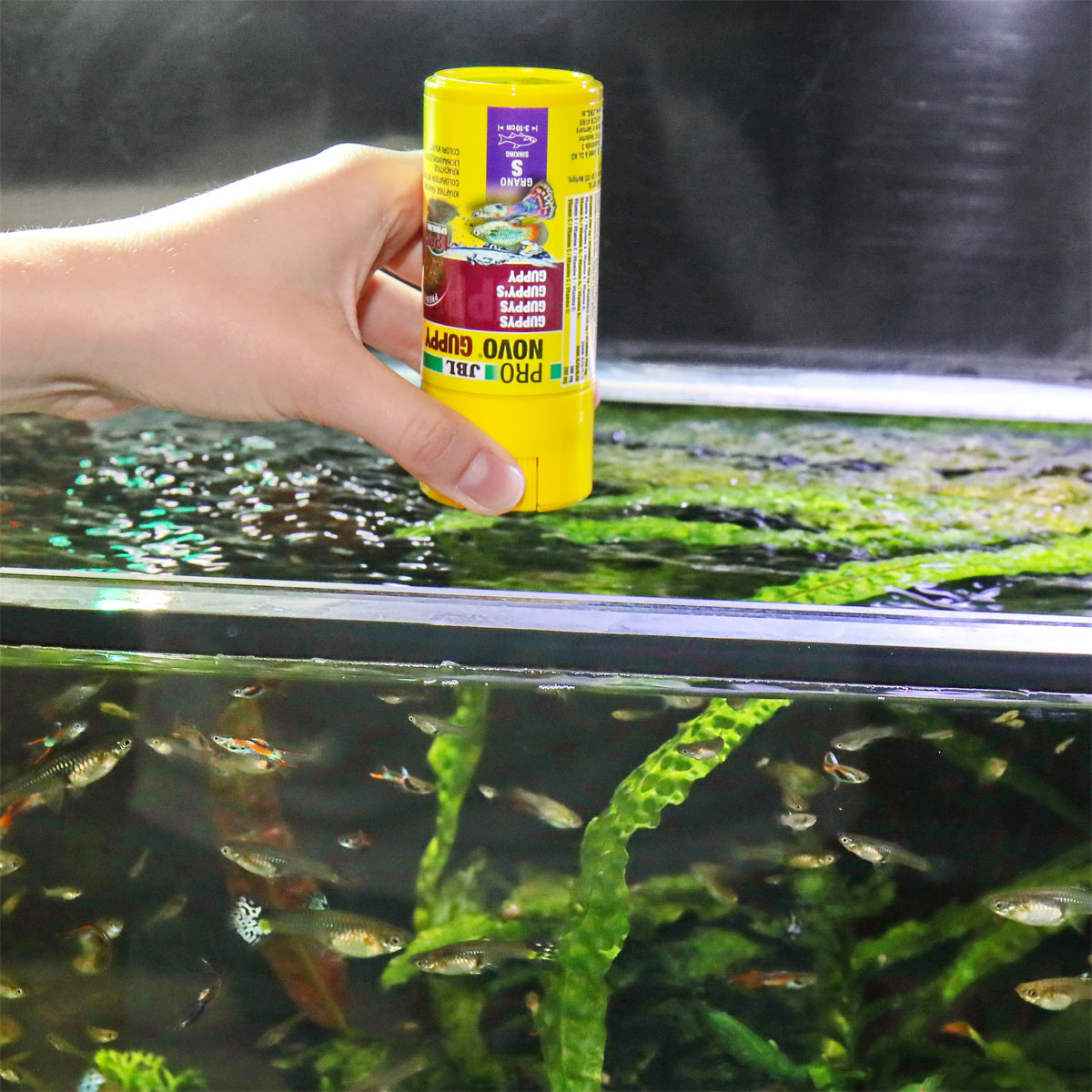 Fischfutter PRONOVO GUPPY GRANO S 100 ml Bild 8