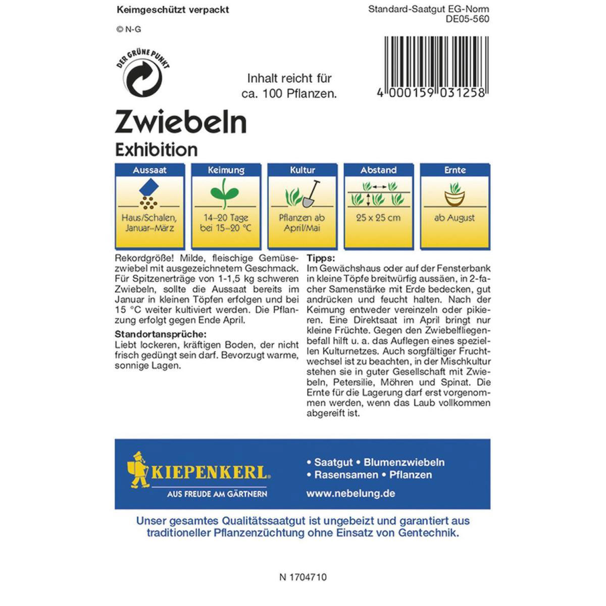 Kiepenkerl Gemüsezwiebel Exhibition Profi-Line Bild 2