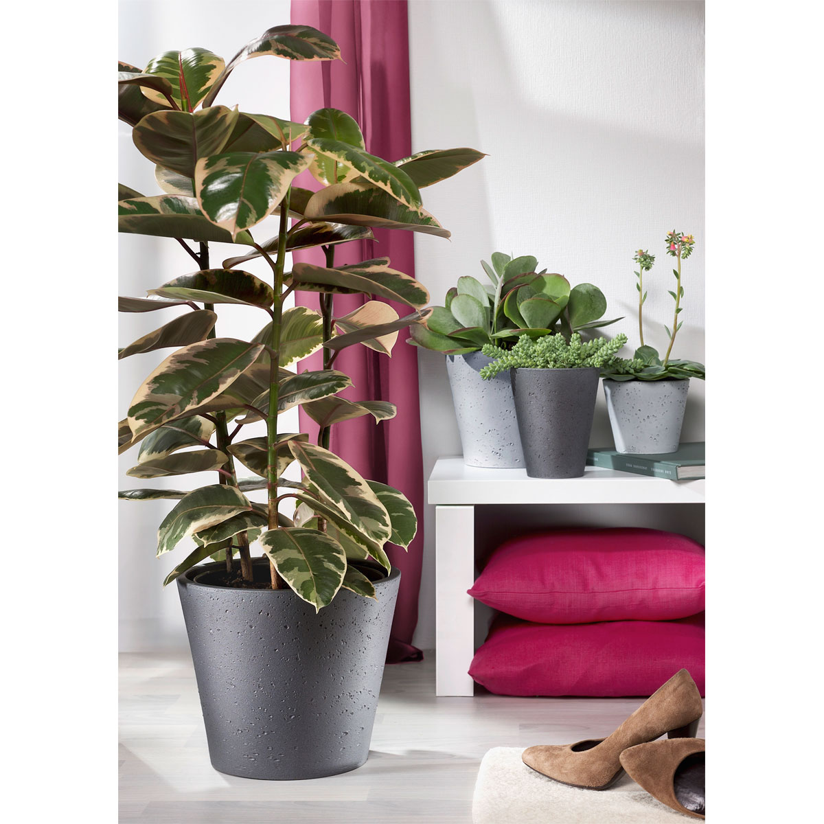 Scheurich Übertopf 701 18 cm dark stone Bild 2