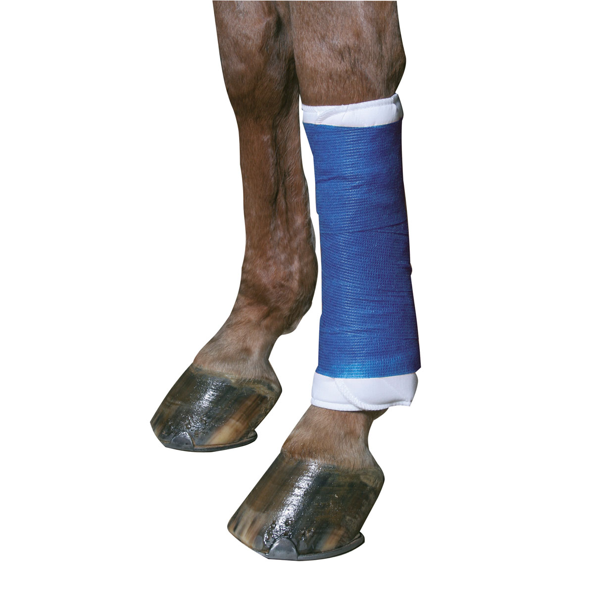 Bandage EquiLastic 10 x 450 cm blau Bild 6