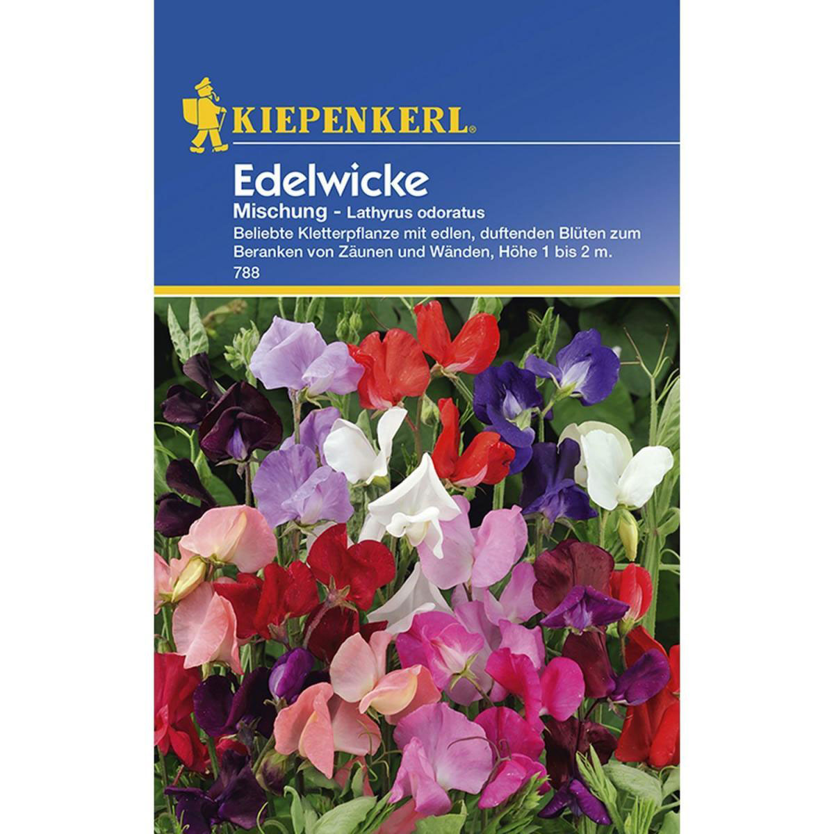 Kiepenkerl Edelwicken Mischung