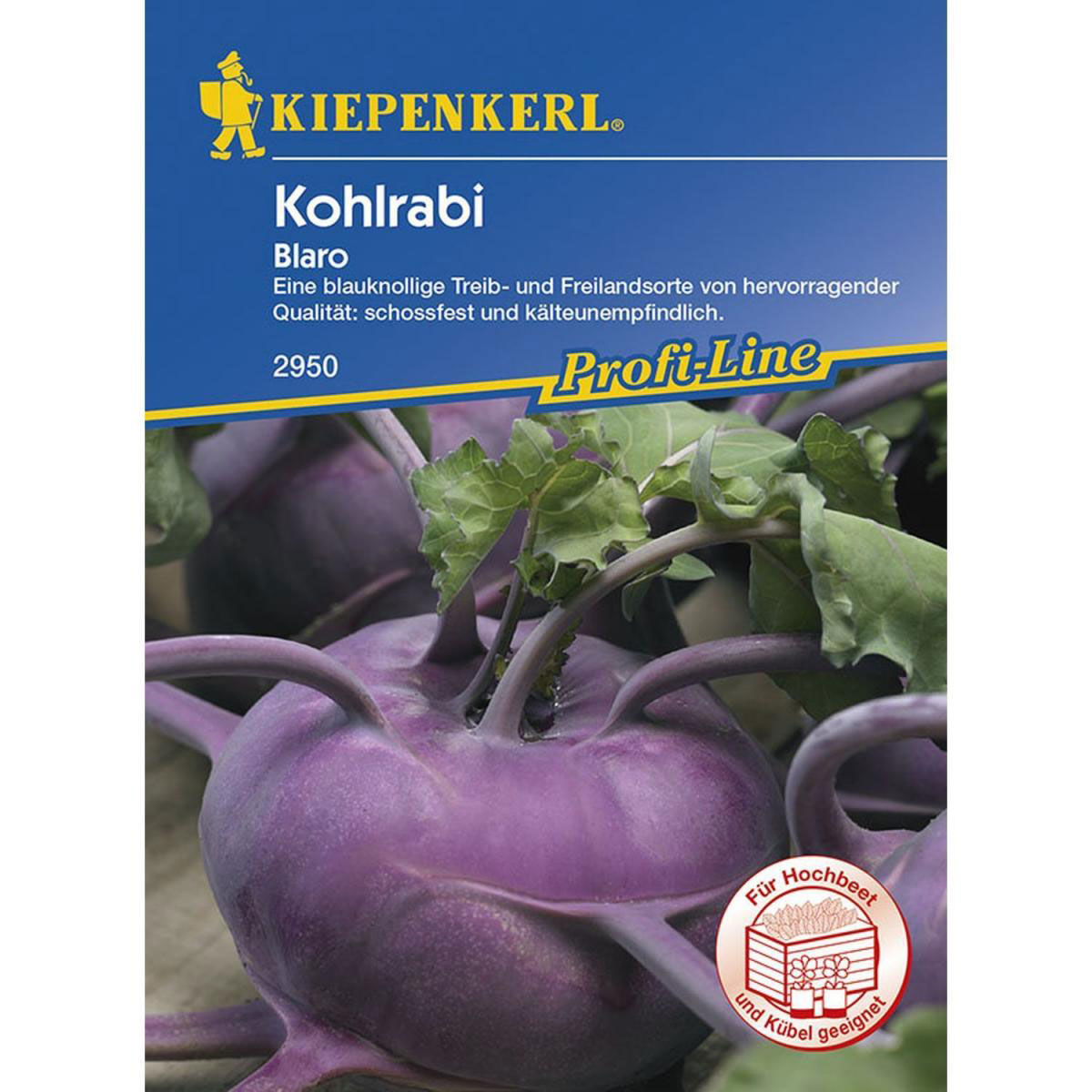 Kiepenkerl Kohlrabi Blaro blau Profi-Line