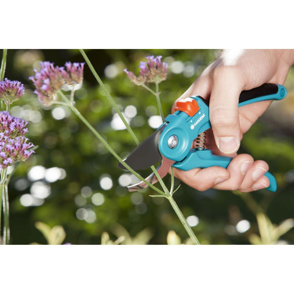 Gardena  Gartenschere B/S Bild 2