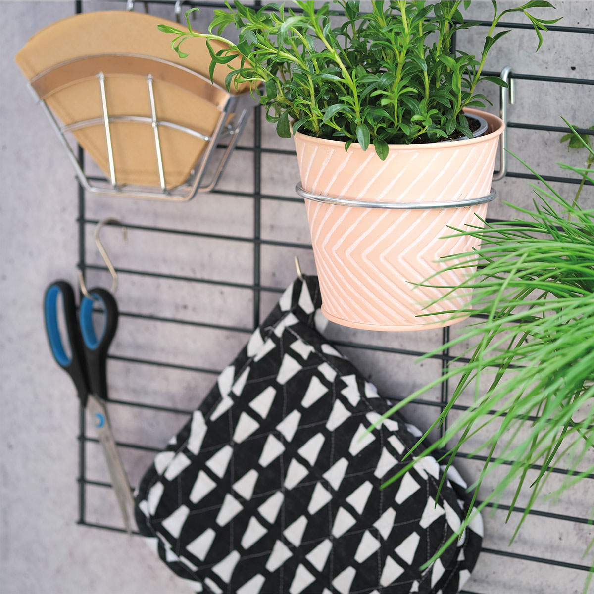 Wandgarten Fermo Gitter Bild 7