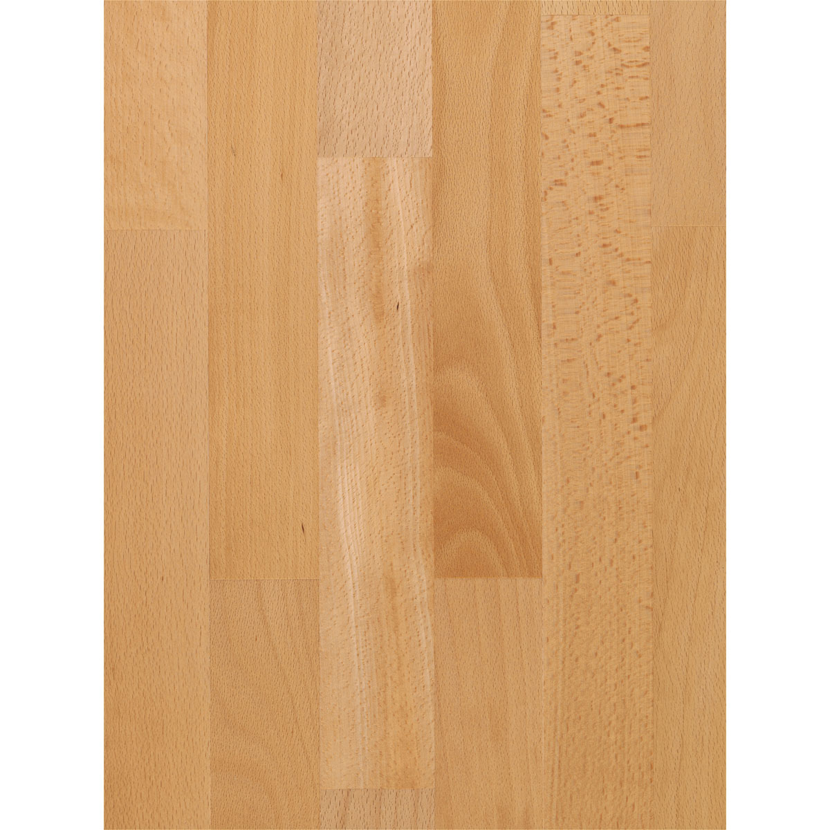 Parador Parkett „Basic 11-5“, Natur Buche, matt lackiert, 18,5x10 cm Bild 3