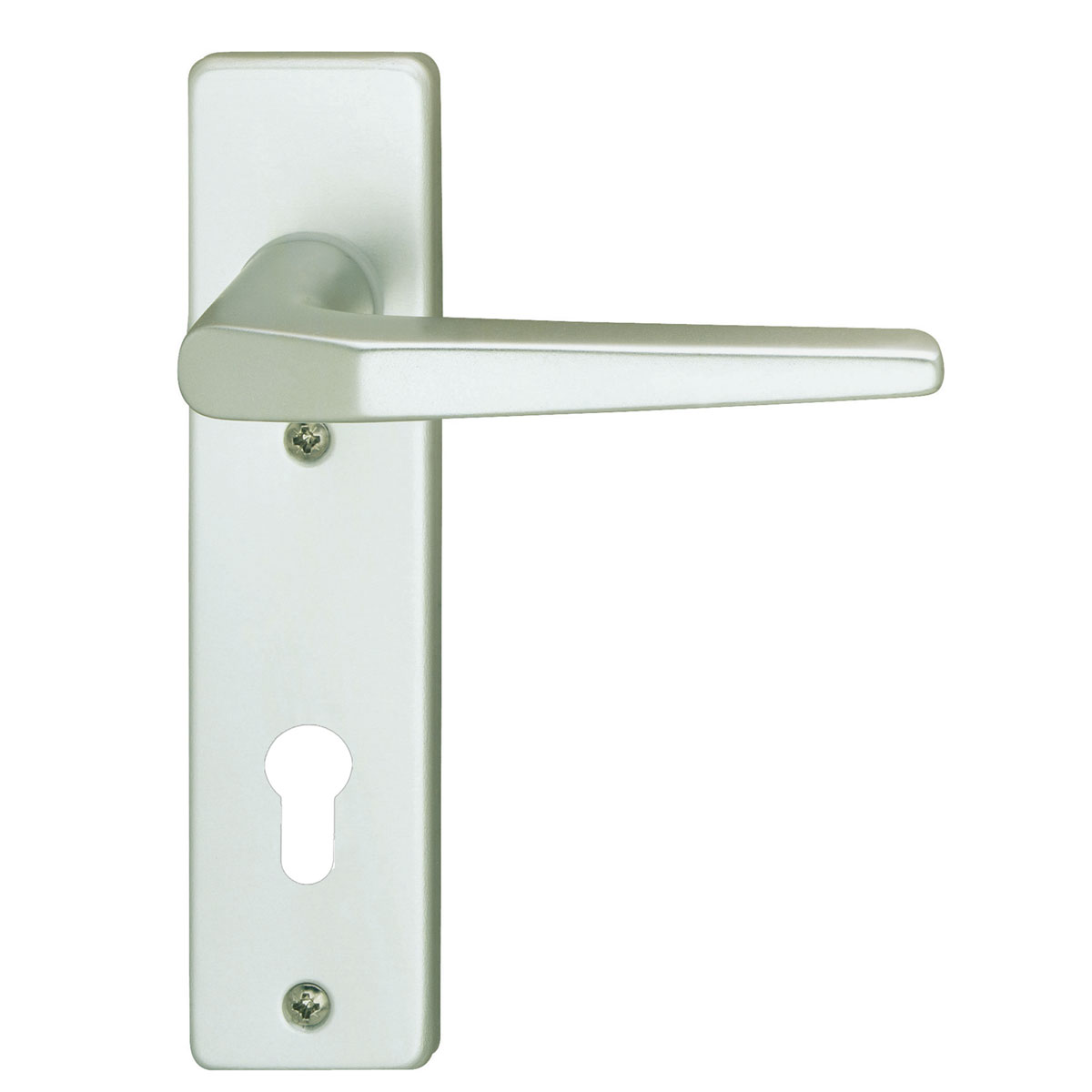 Alpertec Kurzschildgarnitur Floronce silber