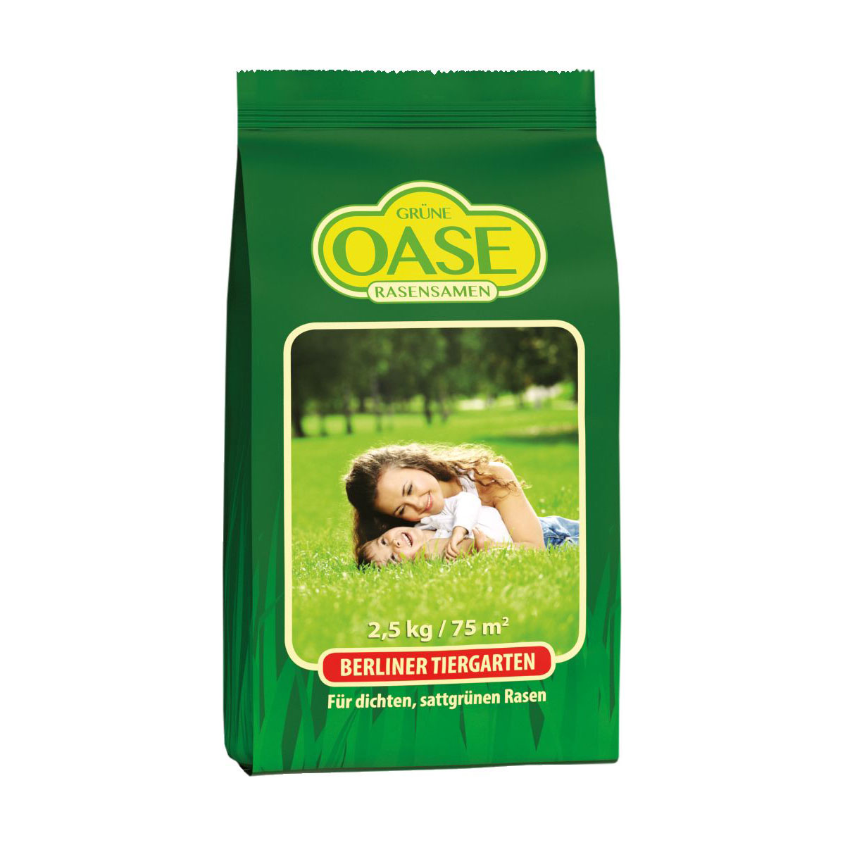 Nachsaat-Rasen 2,5 kg Nachsaat-Rasen 2,5 kg