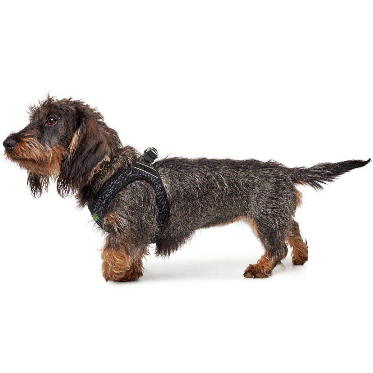 Hunter  Geschirr Hilo Soft Comfort grau M Bild 6