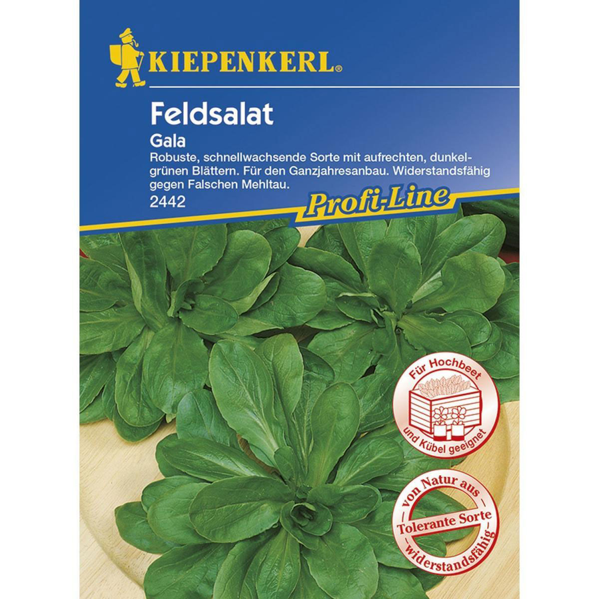 Kiepenkerl Feldsalat Gala Profi-Line