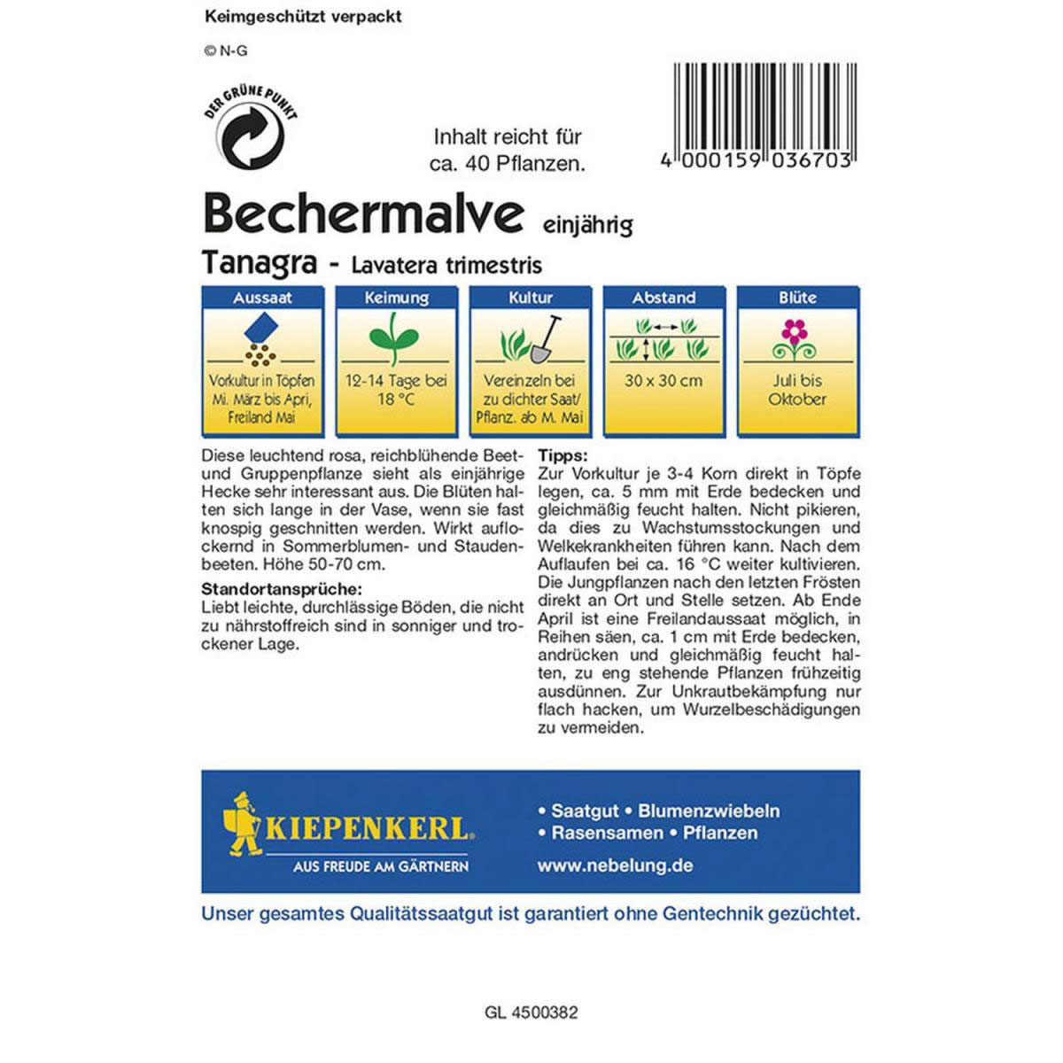 Kiepenkerl Bechermalve Tanagra pink Profi-Line Bild 2