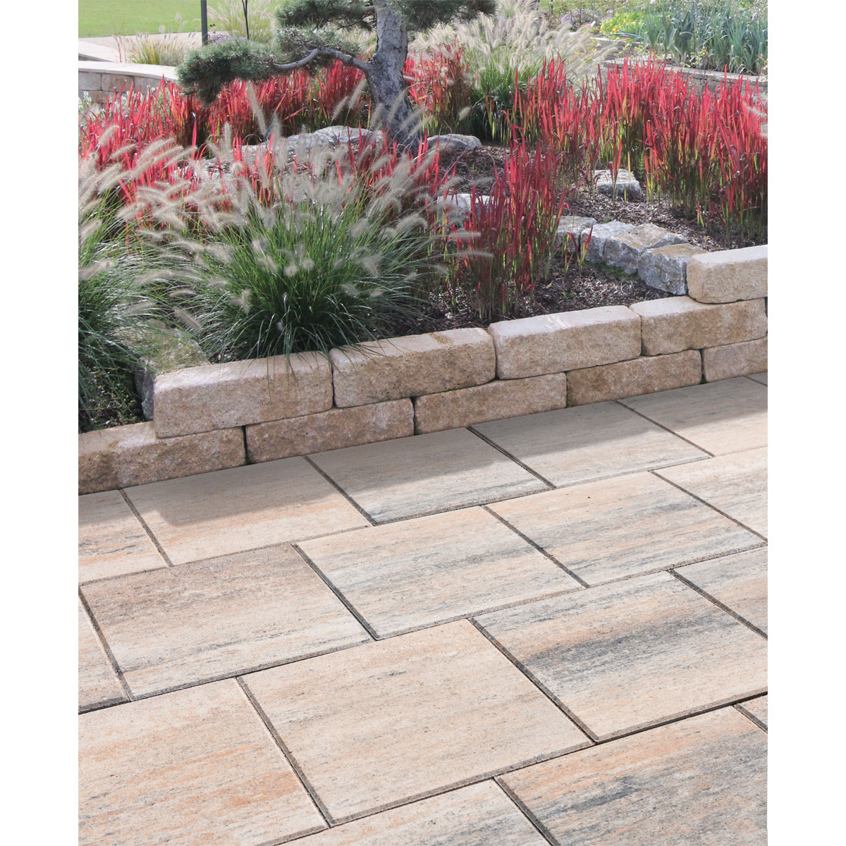 Diephaus  Terrassenplatte No 1 Plain muschelkalk 40 x 40 x 4 cm Bild 3