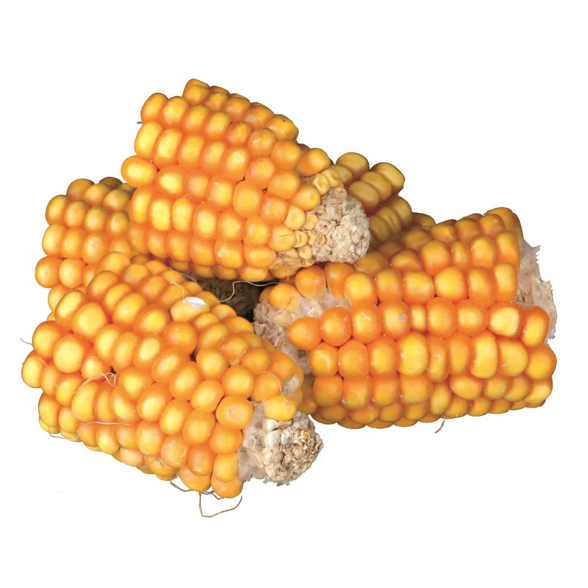 Trixie  Natur-Snack Maiskolbenstücke 300 g
