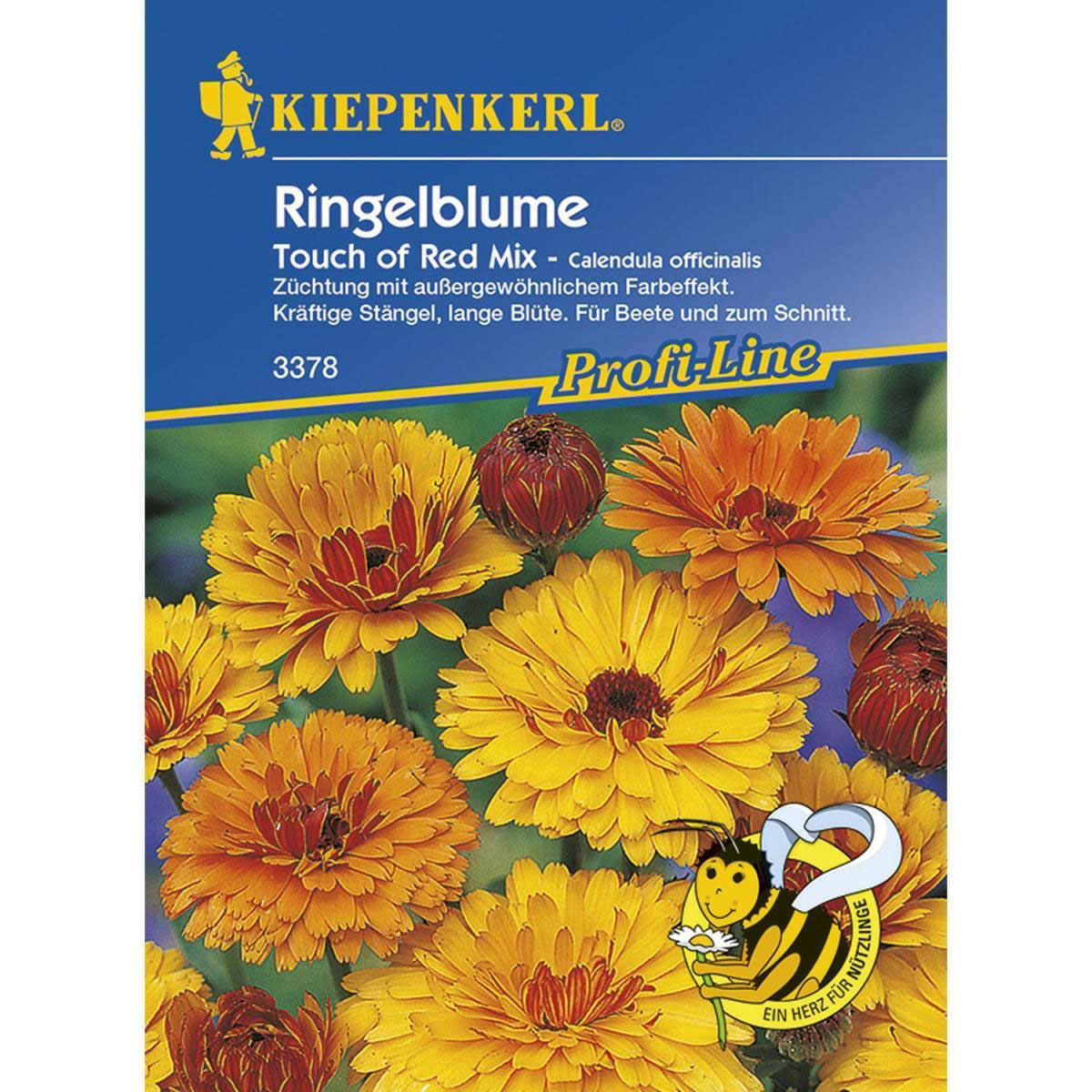 Kiepenkerl Ringelblume Touch of Red Mix Profi-Line