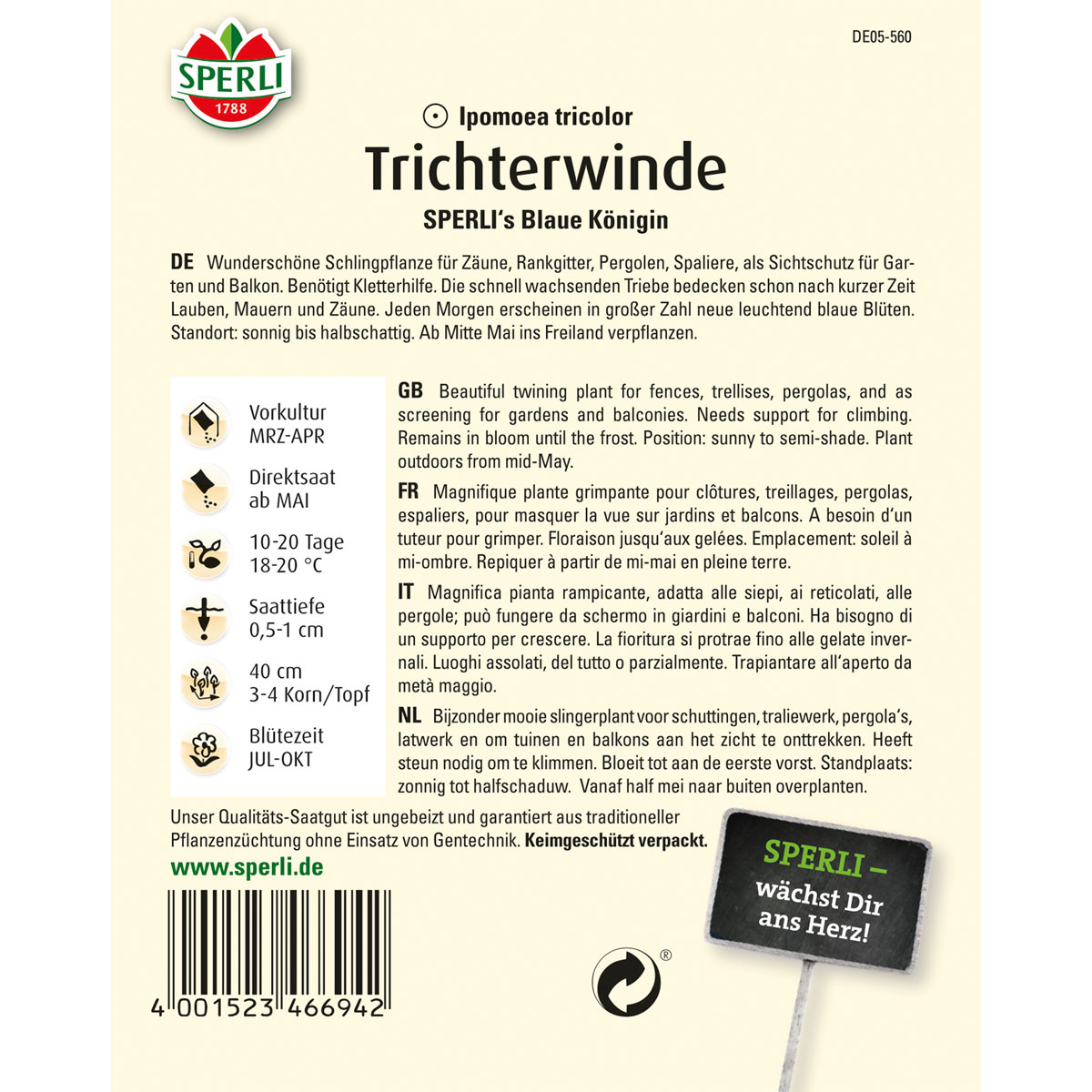 Sperli Trichterwinde s Blaue Königin Bild 2