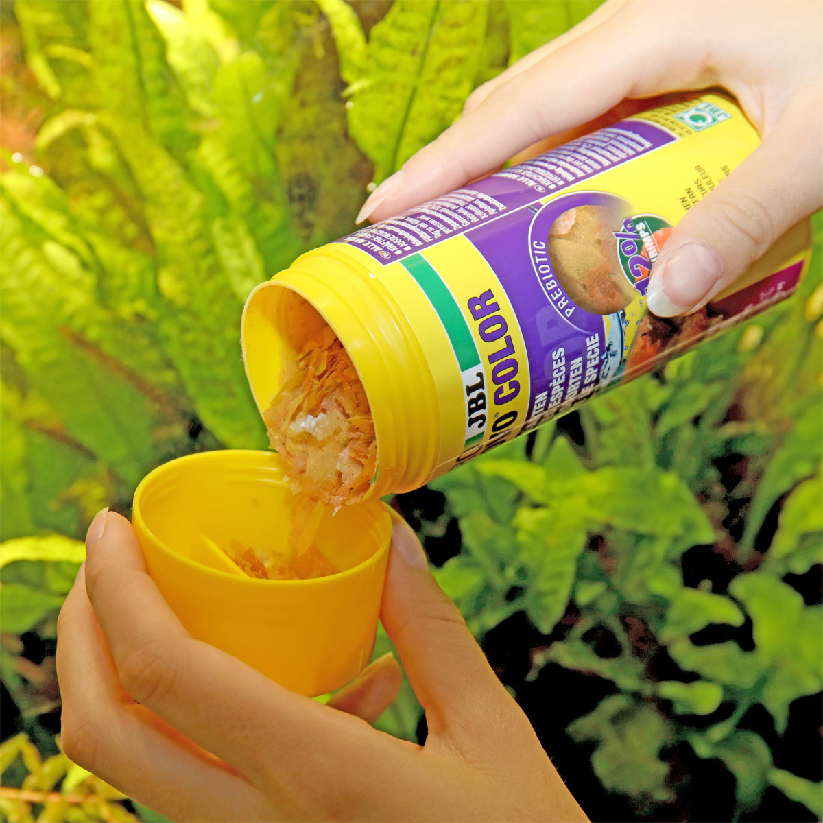 JBL  PRONOVO COLOR FLAKES M 250ml Bild 5