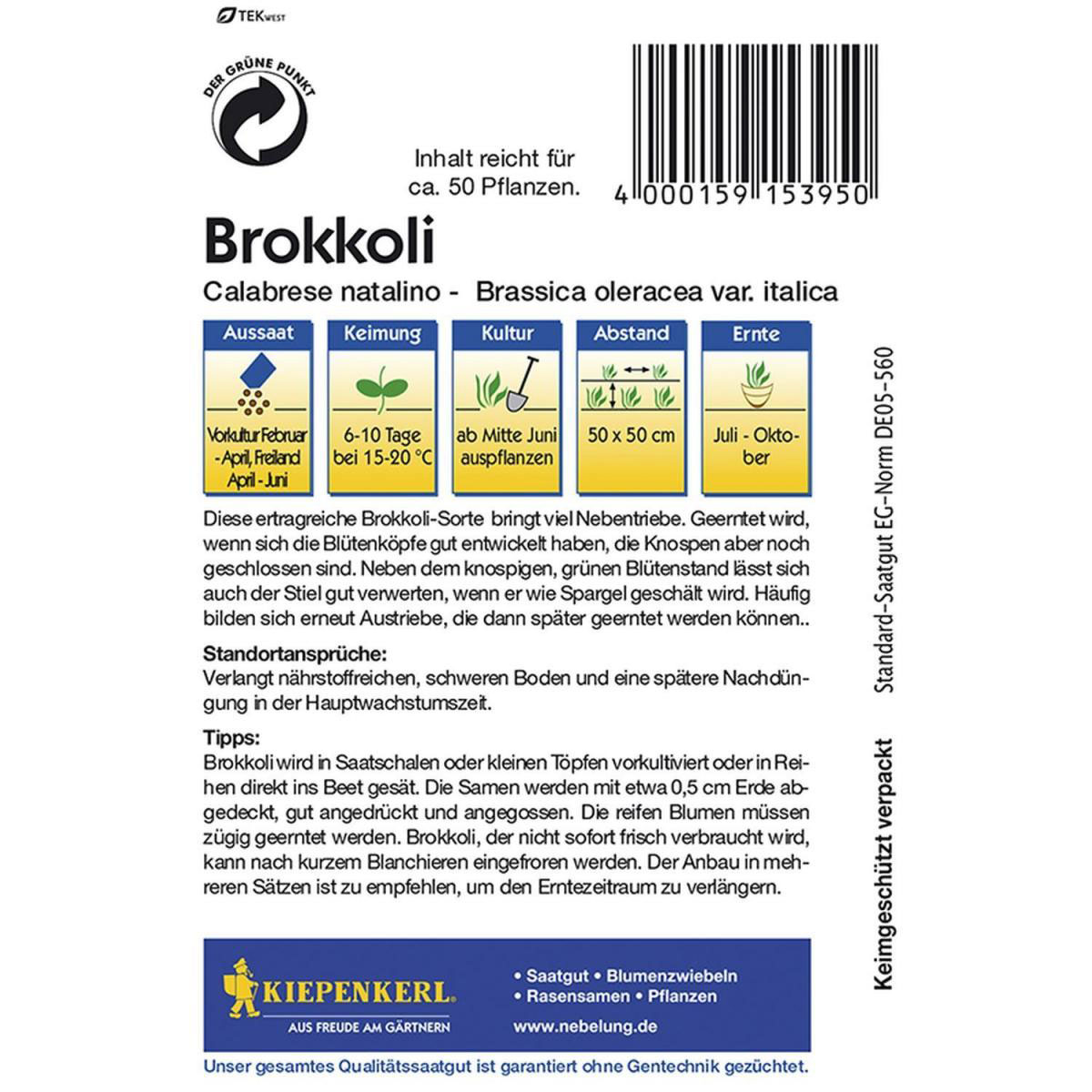 Kiepenkerl Brokkoli Calabrese natalino Bild 2