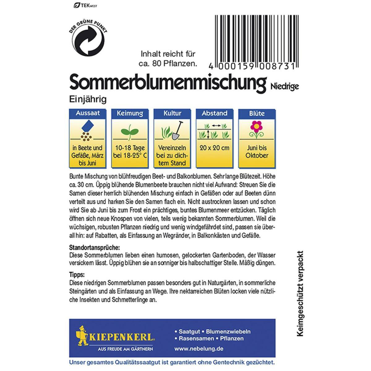 Kiepenkerl Niedrige Sommerblumenmischung Bild 2