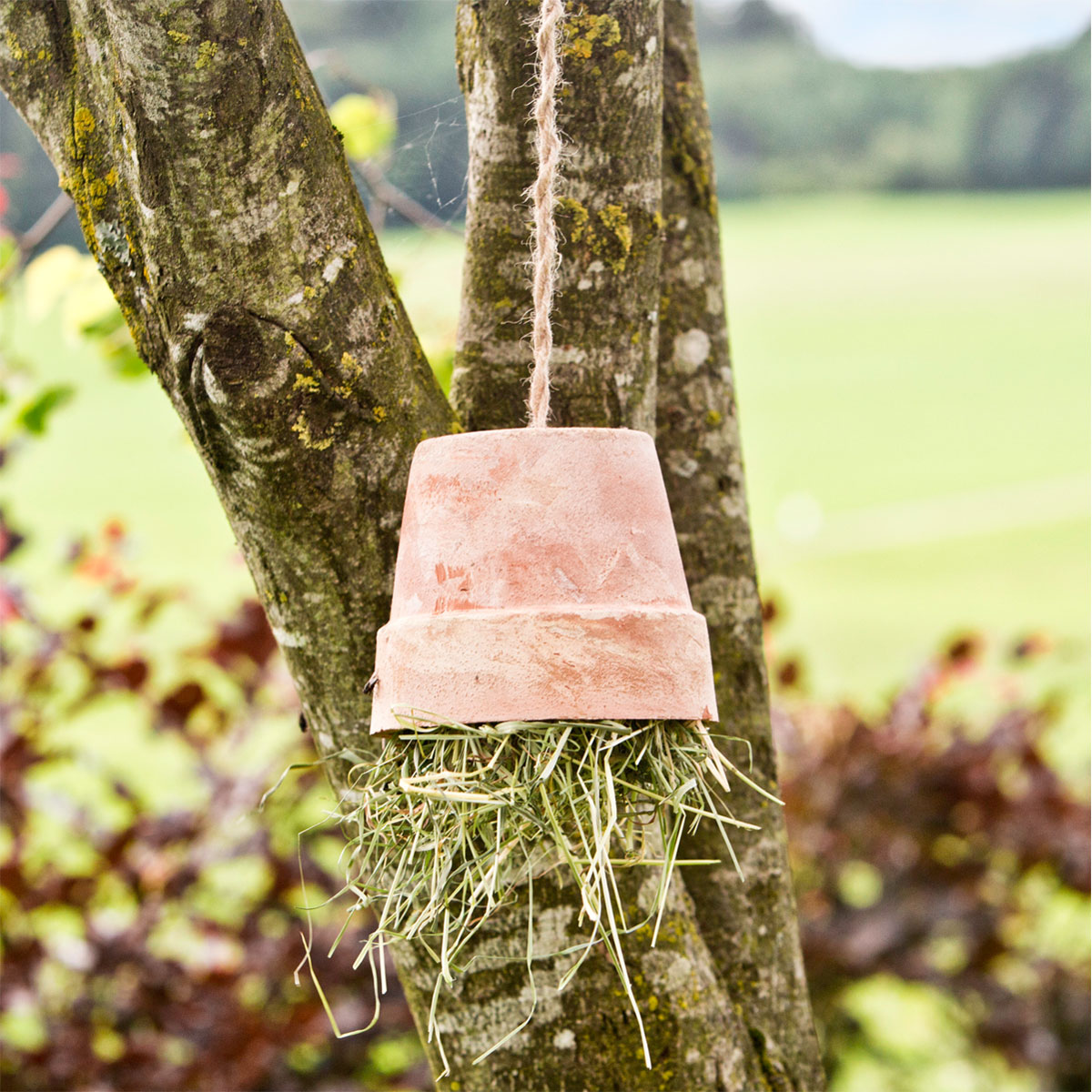 Windhager  Jute-Schnur 1,5 mm x 170 m Bild 3