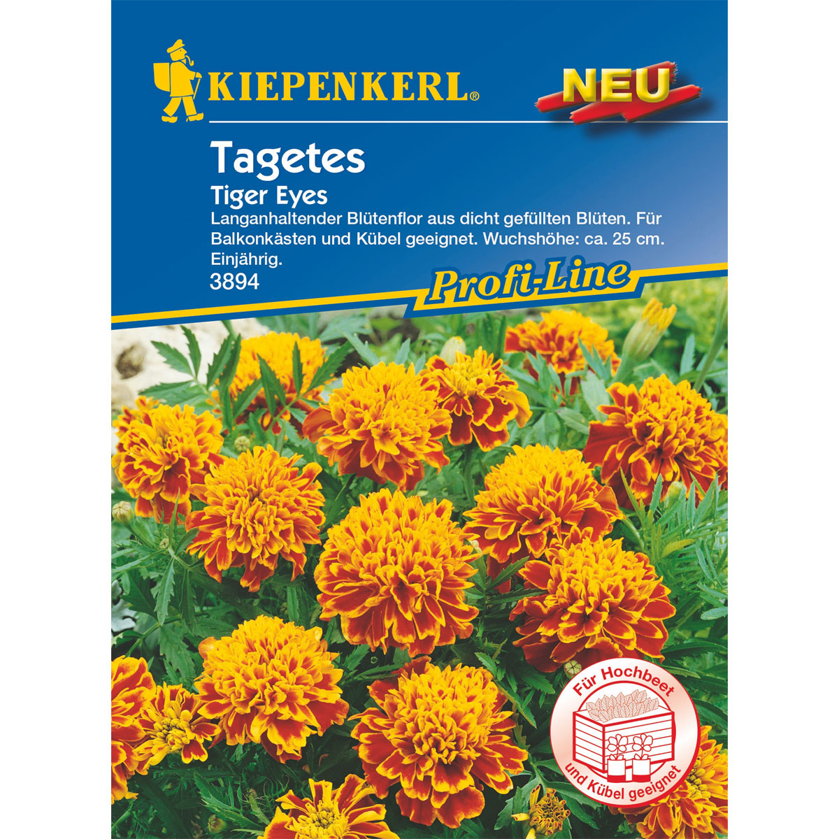 Kiepenkerl Studentenblume Tiger Eyes