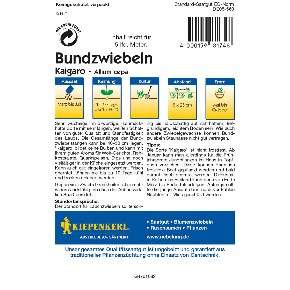 Kiepenkerl Lauchzwiebel Kaigaro Bild 2