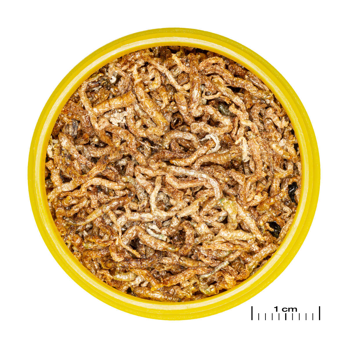 JBL  PRONOVO FIL 100ml Bild 2