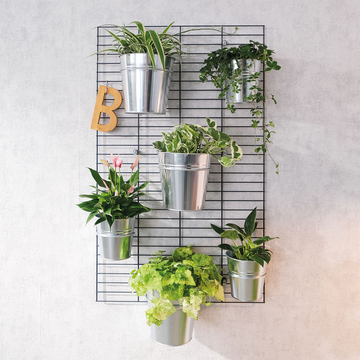 Wandgarten Fermo Gitter Bild 6