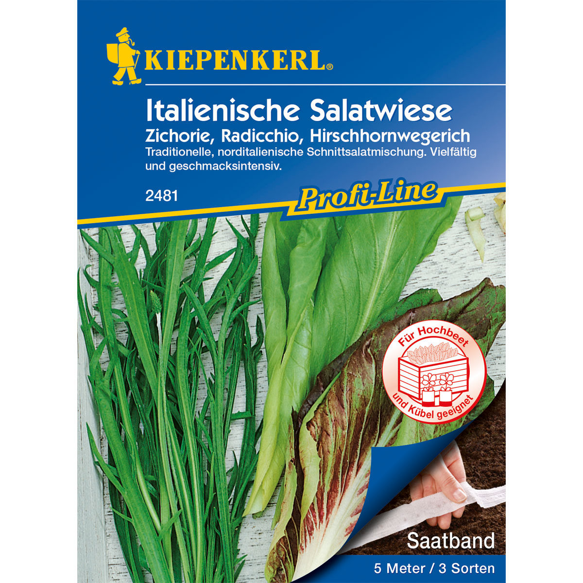 Kiepenkerl Italienische Salatwiese Saatband Bild 1
