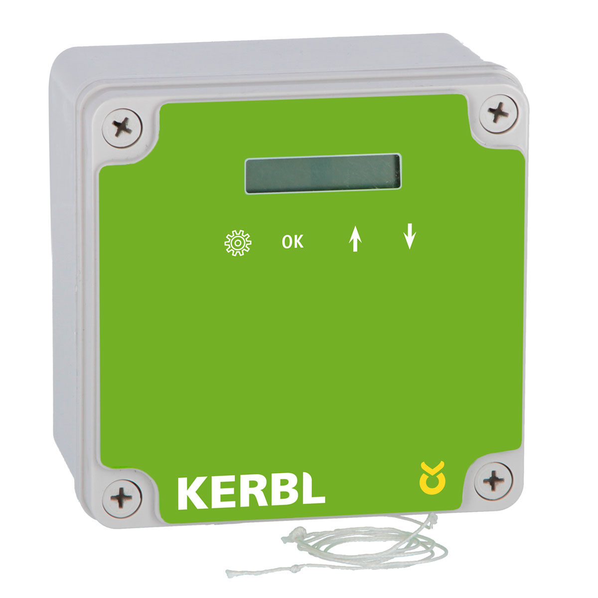 Steuergerät für Hühnertür schwarz