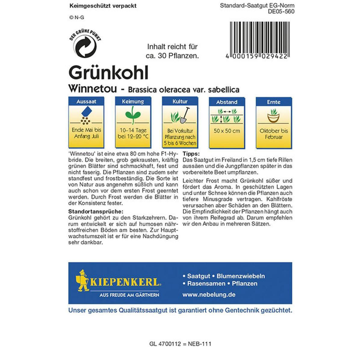 Kiepenkerl Grünkohl Winnetou F1 Profi-Line Bild 2