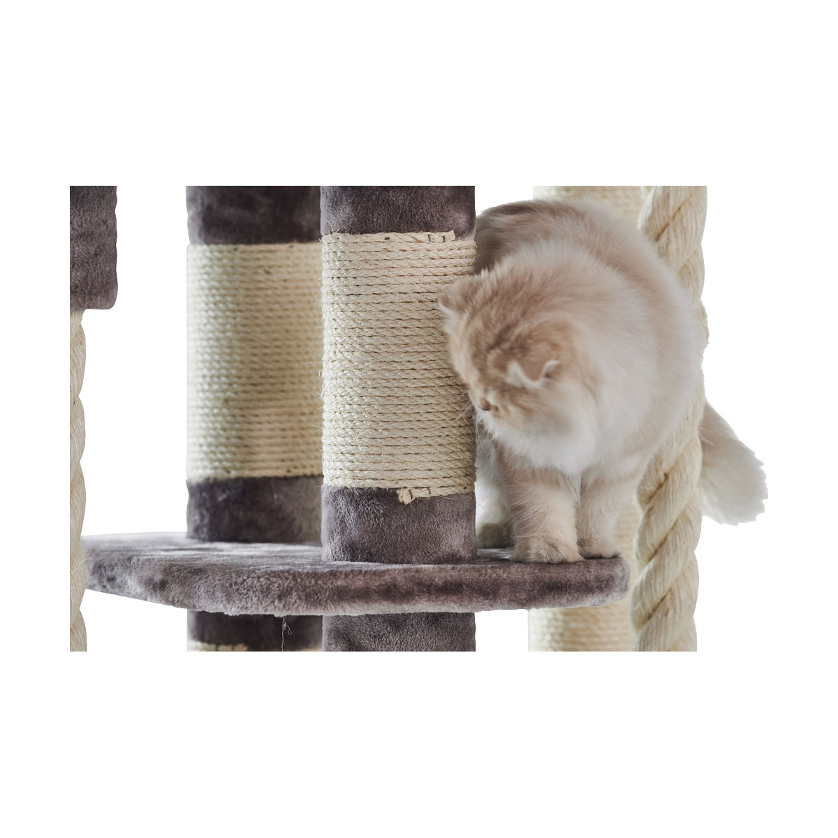 Nobby Kratzbaum Kyla 80 x 50 x 209 cm cappuccino