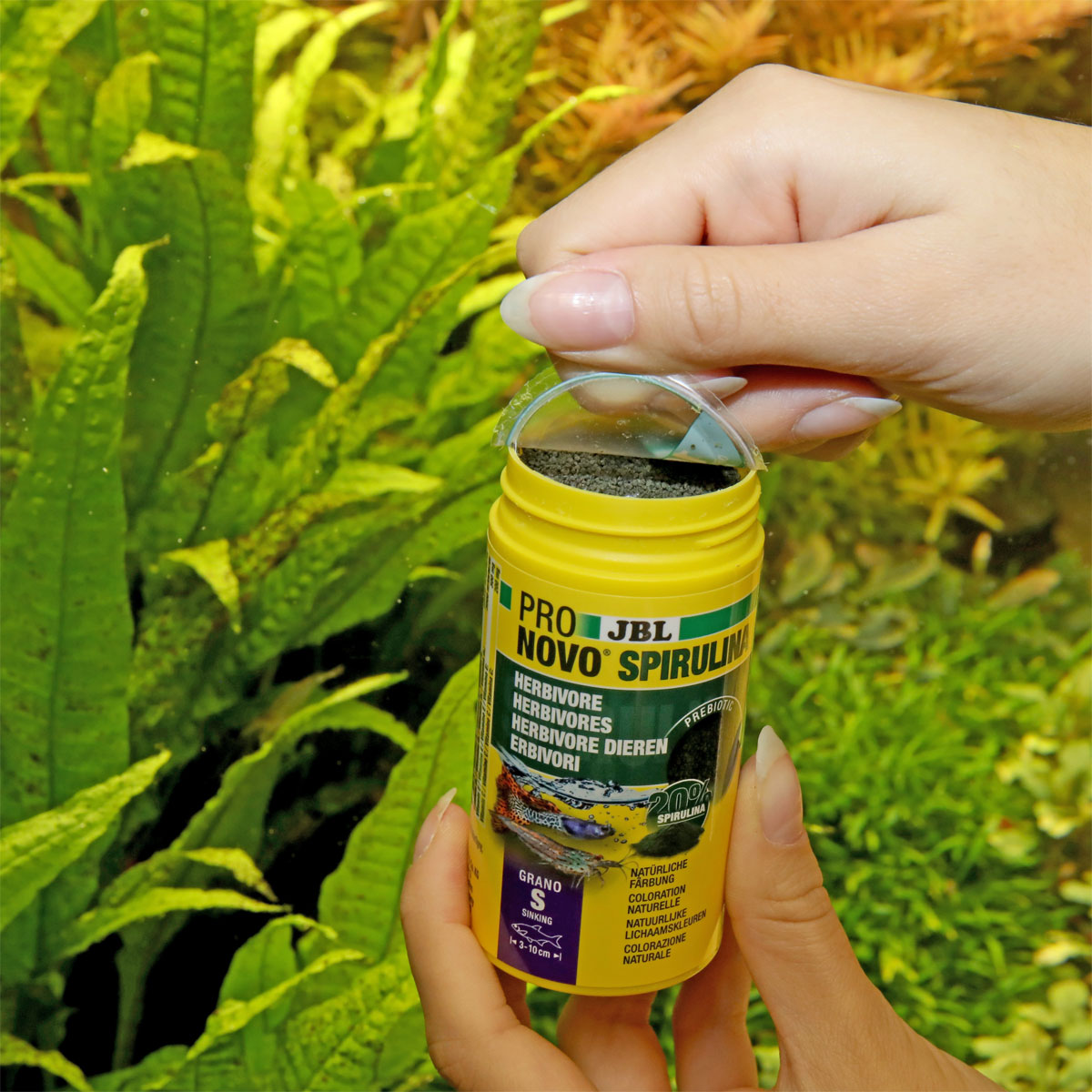 JBL  PRONOVO SPIRULINA GRANO S 100ml CLICK Bild 2