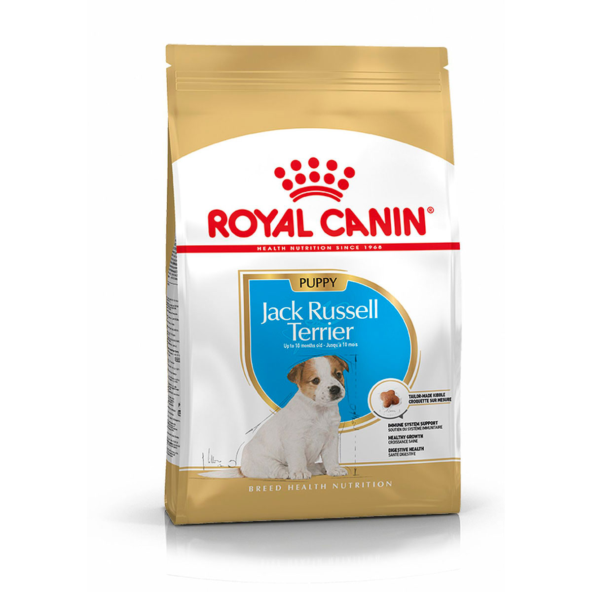 Jack Russell Puppy 1,5kg