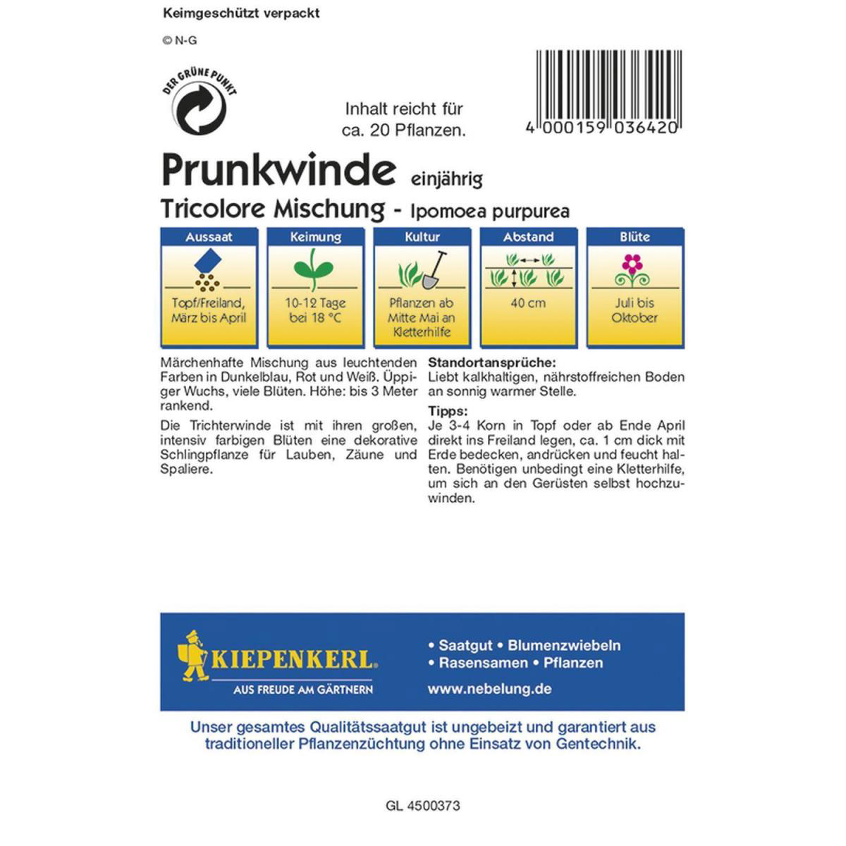 Kiepenkerl Prunkwinde Tricolore Mischung Profi-Line Bild 2