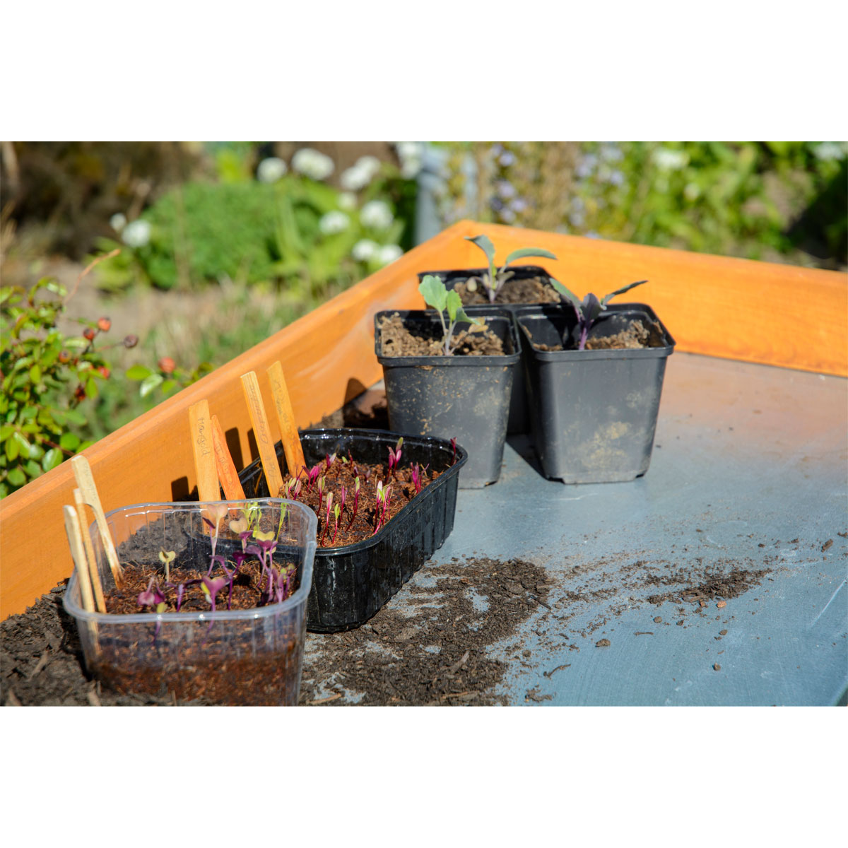 dobar Pflanztisch klappbar 85 x 89 x 44 cm braun Bild 6