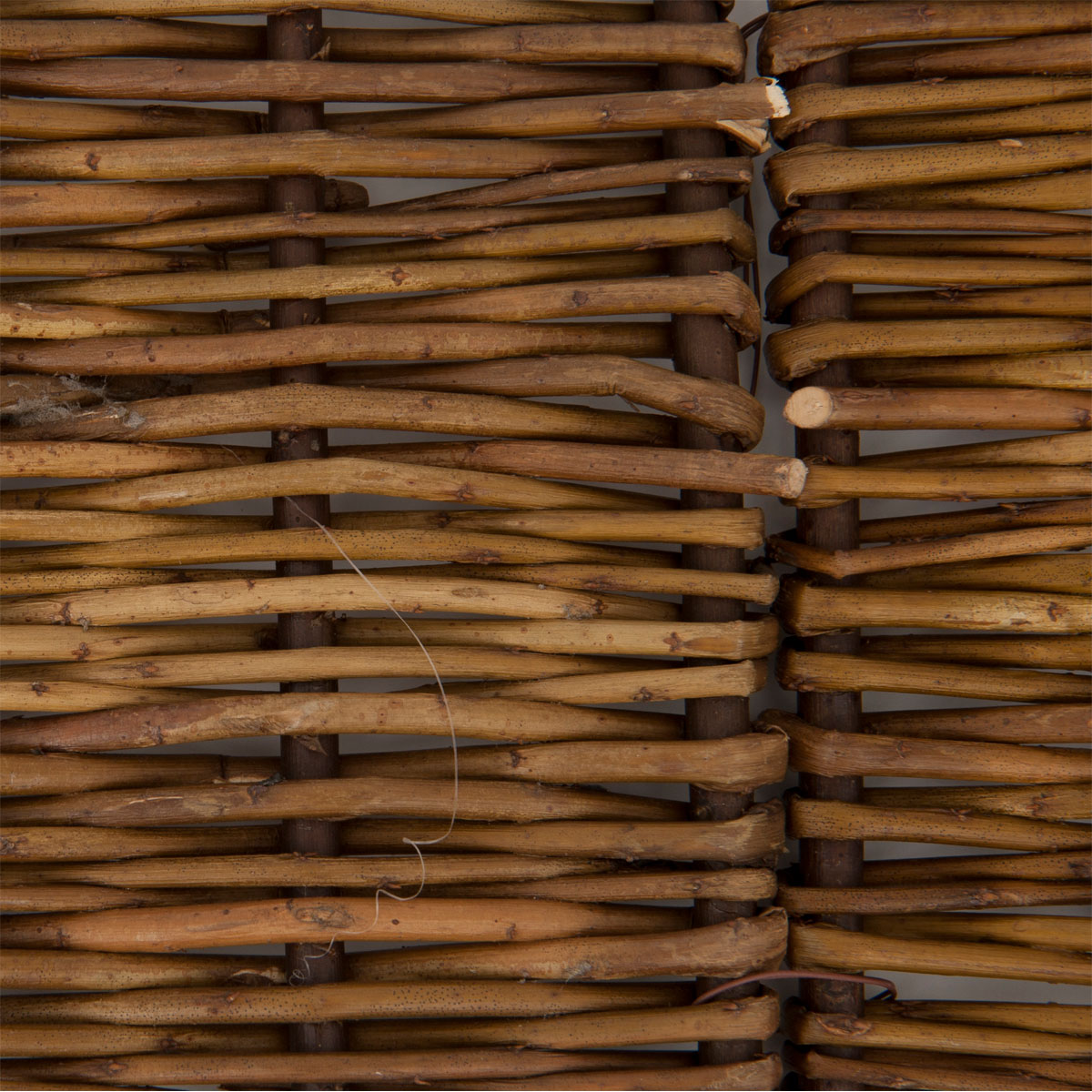 Windhager  Beeteinfassung Weide Bild 5