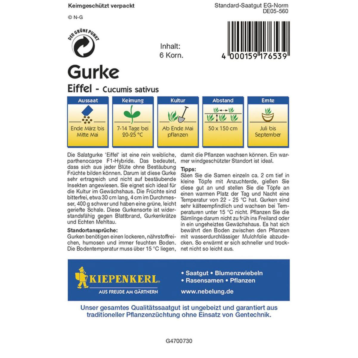 Kiepenkerl Salatgurke Eiffel F1 Bild 2