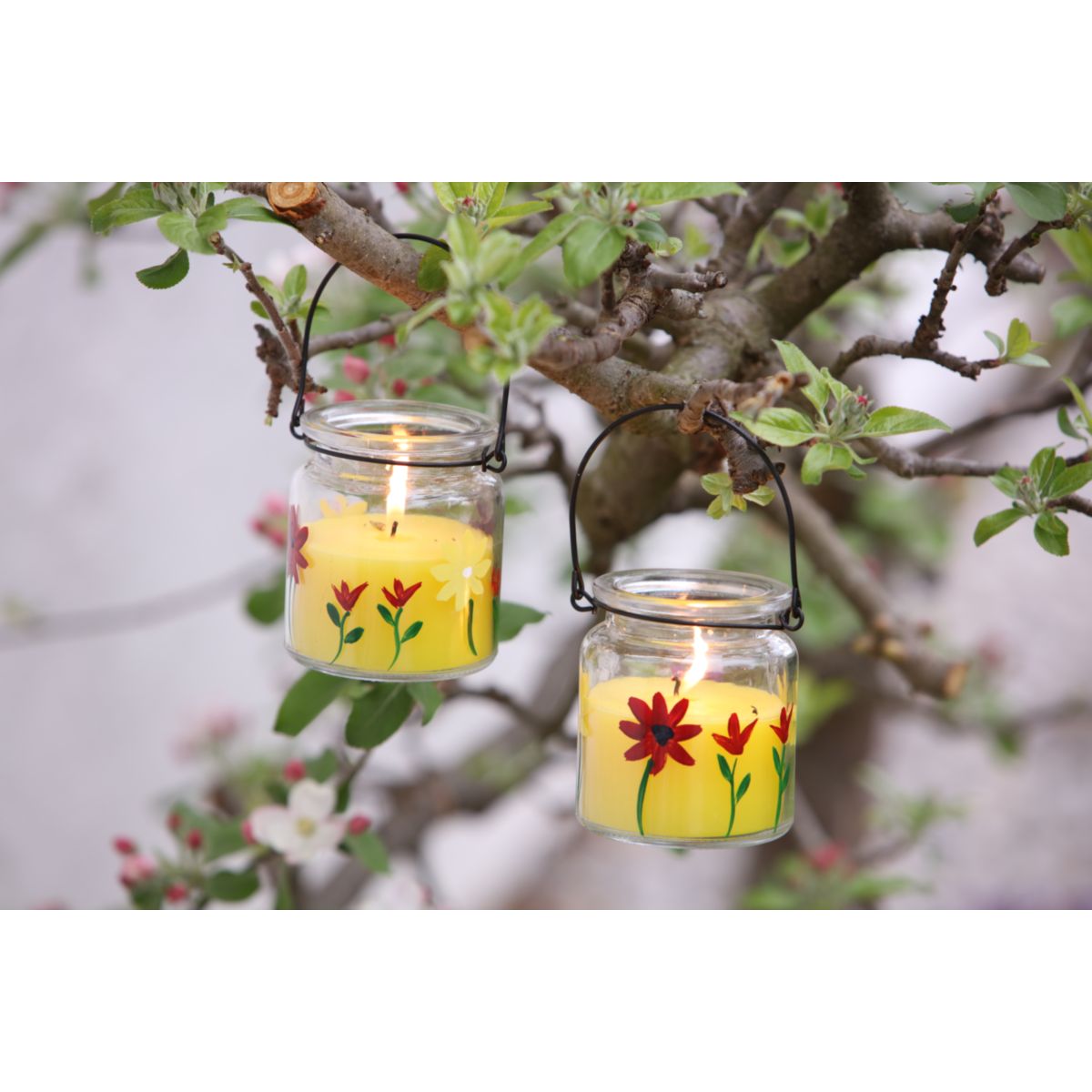 Flower Power Citronella Duftkerze SERA im Glas 8 x 9,2 cm Bild 2