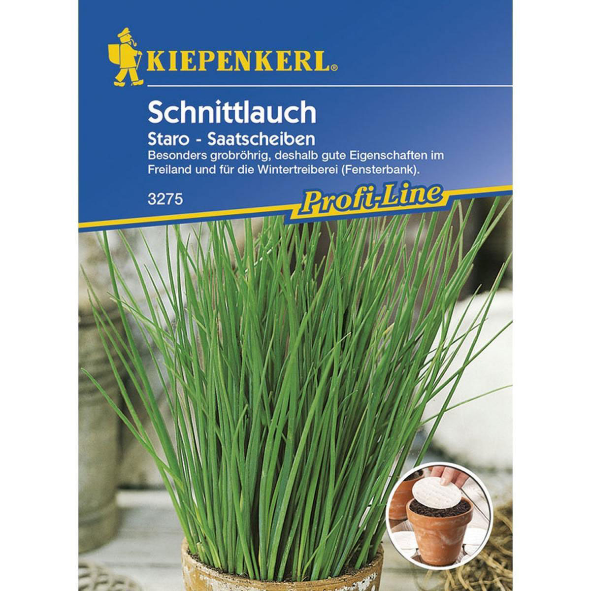 Kiepenkerl Schnittlauch Staro - Saatscheiben Bild 1