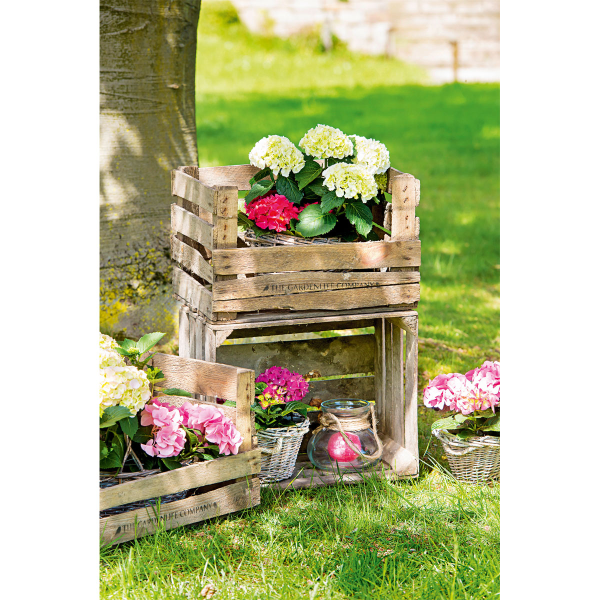 Obstkiste gebraucht 50 x 40 x 30 cm Bild 6