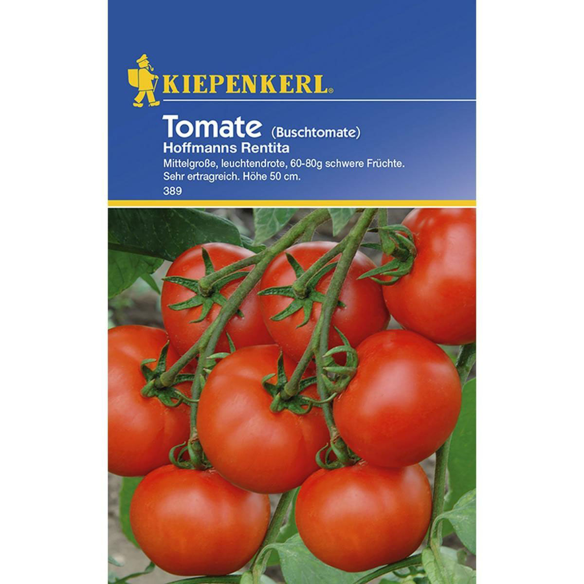 Kiepenkerl Tomaten Hoffmanns Rentita