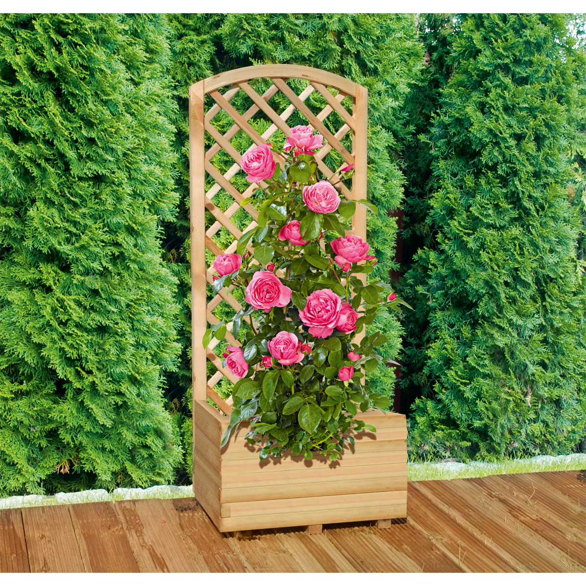 Pflanzkasten-Element 40 x 40 x 40/142 cm Bild 2