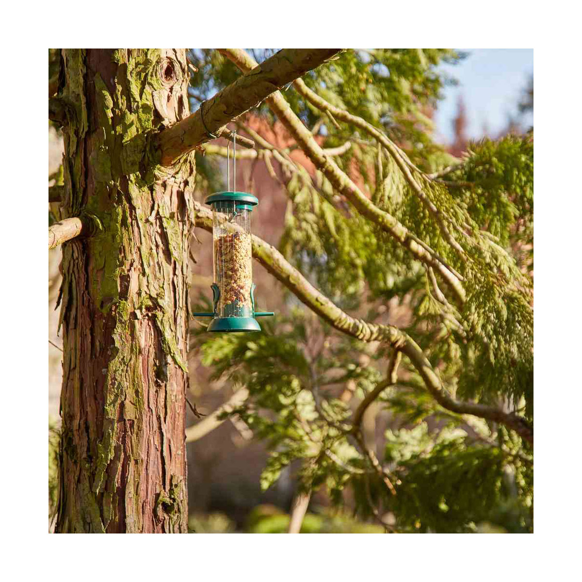 Siena Garden Vogelfuttersäule „Premium Line“ für Mischfutter, 24 cm Bild 5